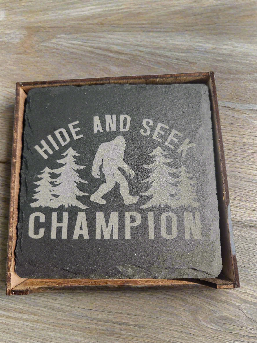 Hide and Seek Coaster