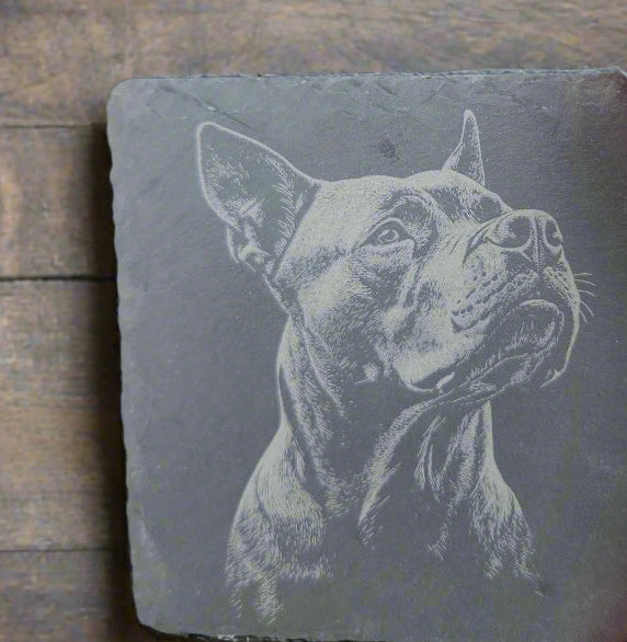 Slate Engraved Dog Coasters W/Holder