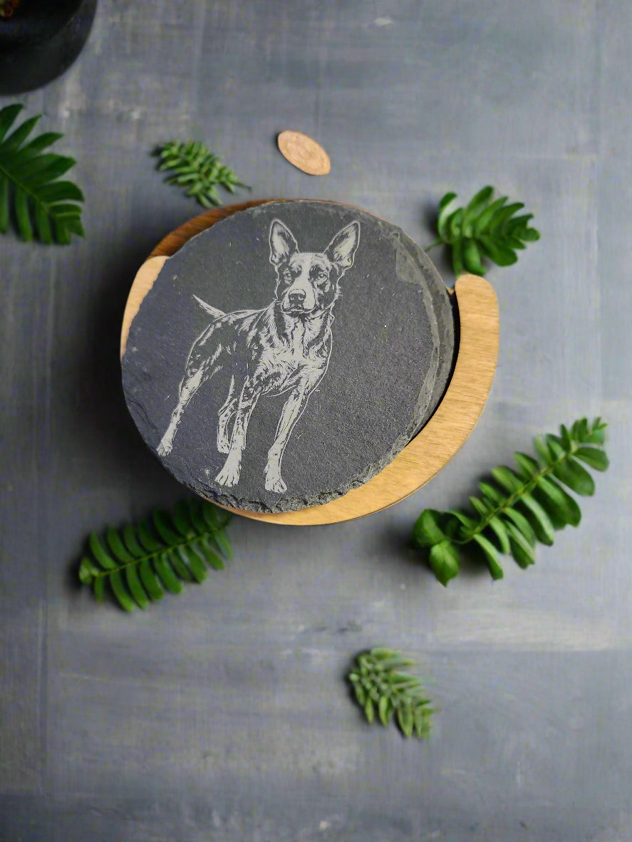 Slate Engraved Dog Coasters W/Holder