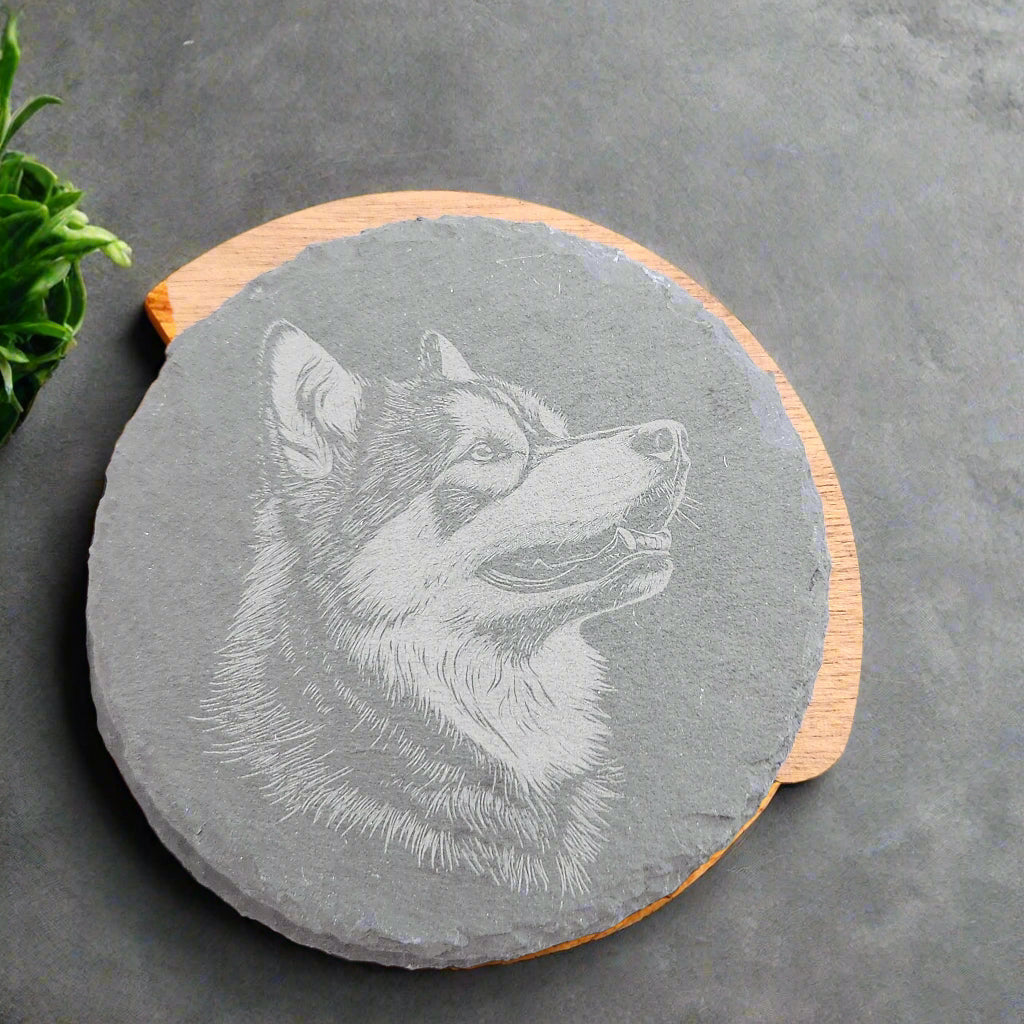 Slate Engraved Dog Coasters W/Holder