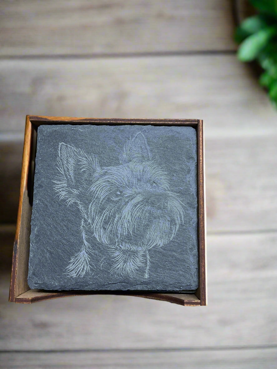 Slate Engraved Dog Coasters W/Holder